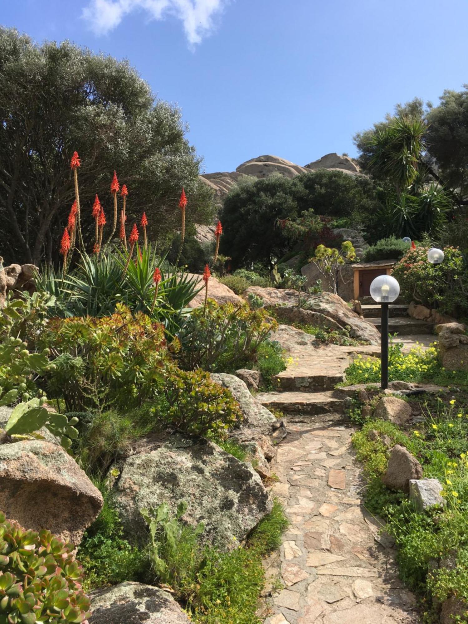 L'Olivastro Appartamenti A Porto Cervo Exterior foto